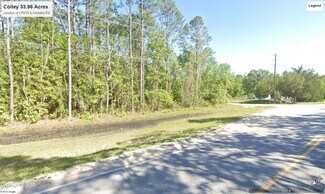 More details for 3900 CR 315, Green Cove Springs, FL - Land for Sale