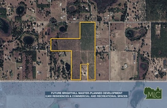 More details for 8923 Dewey Robbins Road, Howey in the Hills, FL - Land for Sale