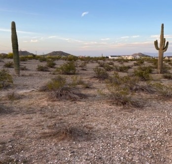 28951 N Queen Bee Ln, Queen Creek, AZ for sale - Building Photo - Image 1 of 2