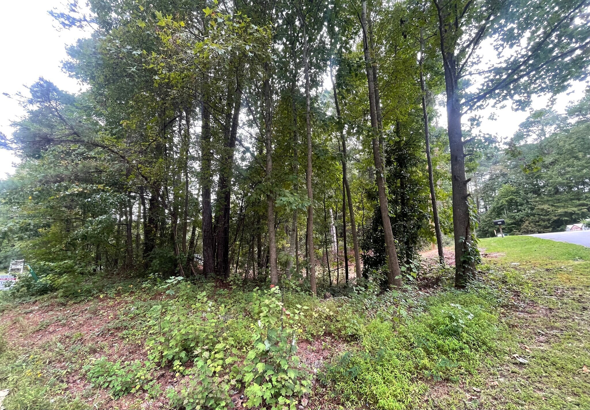 970 Mack Todd Rd, Zebulon, NC for sale Building Photo- Image 1 of 1