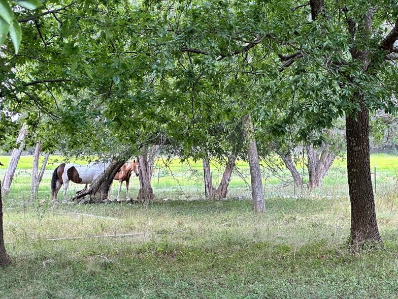 4650 US-183, Liberty Hill, TX for sale - Building Photo - Image 3 of 13