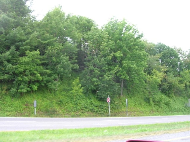 Rt 52 & Chapman Rd, Max Meadows, VA for sale Primary Photo- Image 1 of 1