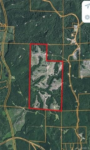 14631 Tabernacle Rd, Buhl, AL for sale Aerial- Image 1 of 1