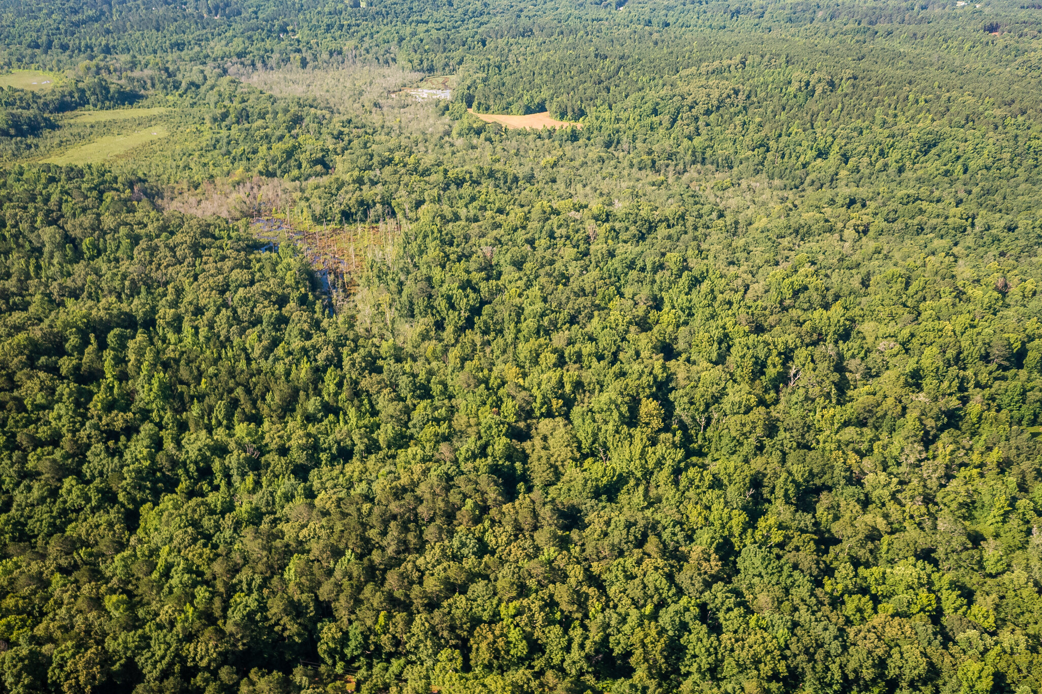 0 Bullock Bridge Rd, Monroe, GA for sale Building Photo- Image 1 of 1