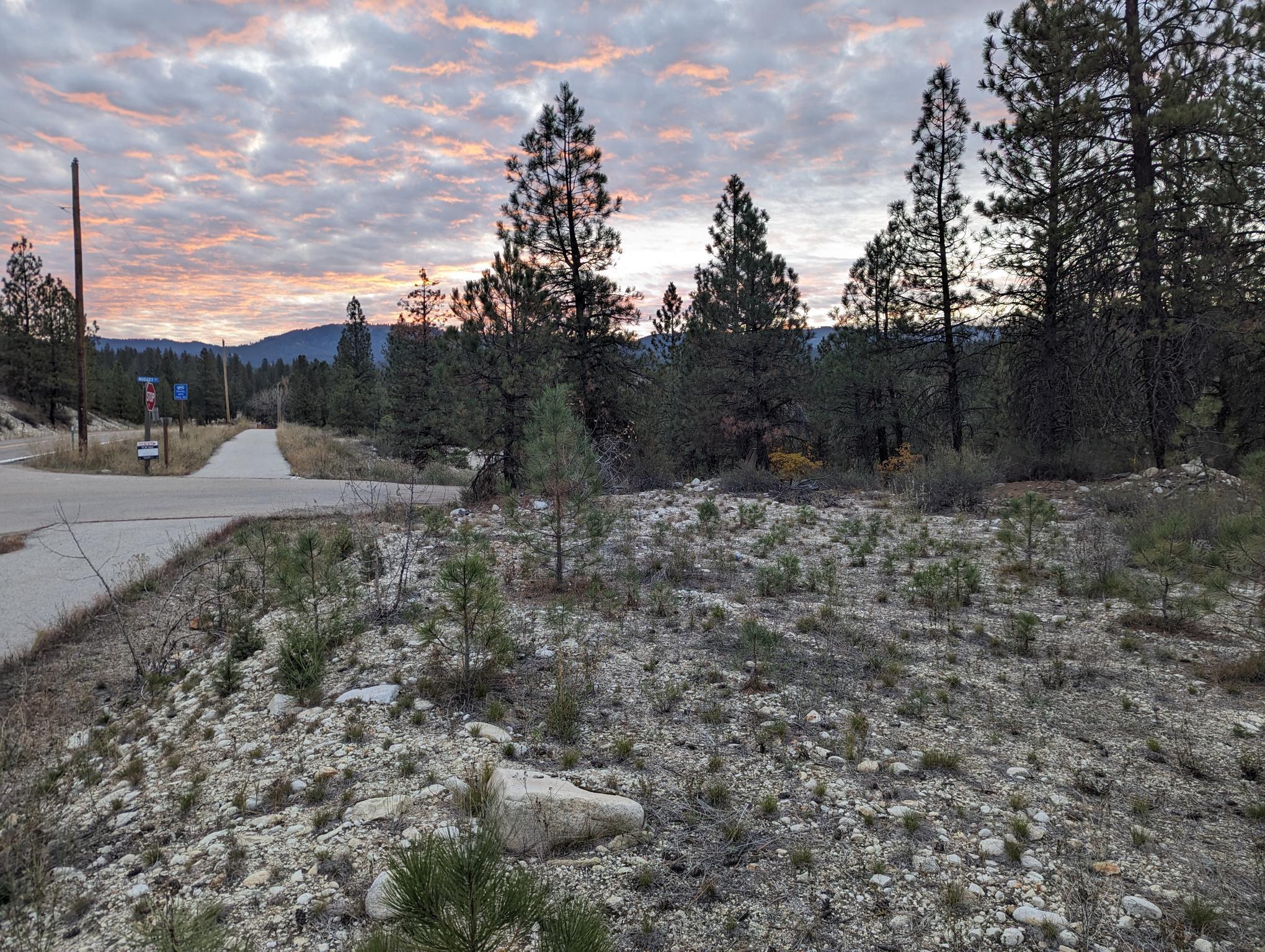 TBD Highway 21, Idaho City, ID for sale Primary Photo- Image 1 of 11