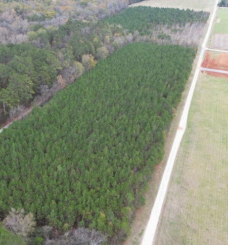 Priceville 30 acres on Old Branch Road, Decatur, AL for sale - Primary Photo - Image 1 of 1