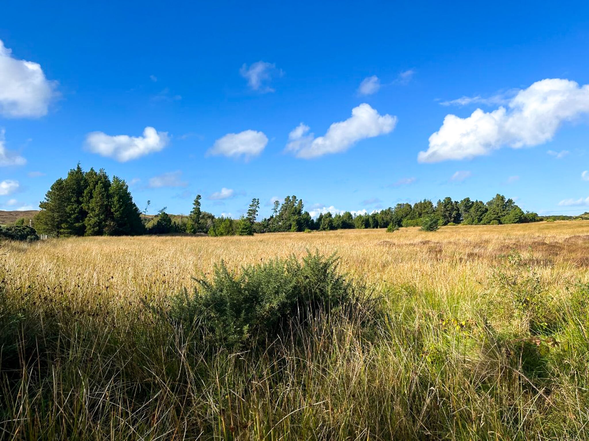Croft 18, Isle Of Lewis for sale Primary Photo- Image 1 of 1
