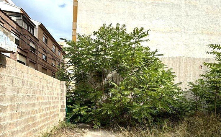 Land in CASTELLÓN DE LA PLANA for sale - Building Photo - Image 3 of 16