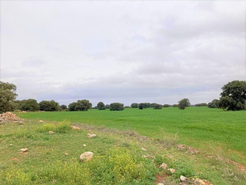 Land in Campo de Criptana for sale - Building Photo - Image 3 of 22