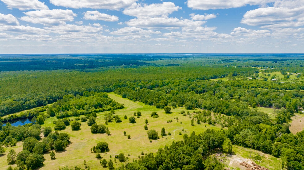 0 Red Feather Dr, Seminole, AL for sale - Aerial - Image 2 of 8