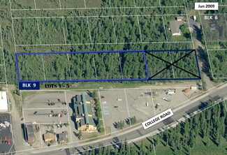 More details for NHN College Road, Fairbanks, AK - Land for Sale