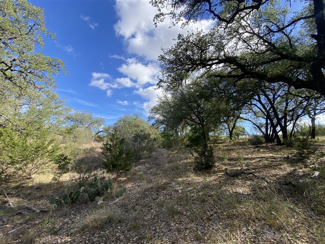 10109 E FM 1431, Marble Falls, TX 78654 Smithwick Ranch