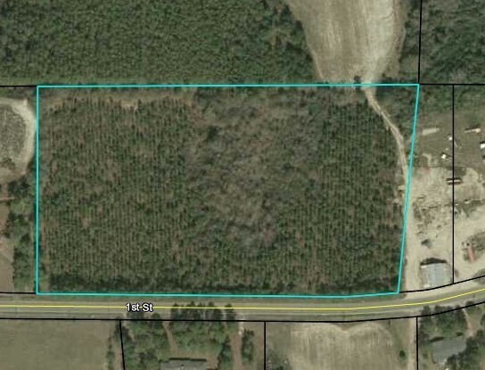 Hawpond Rd, Arabi, GA for sale - Other - Image 1 of 1