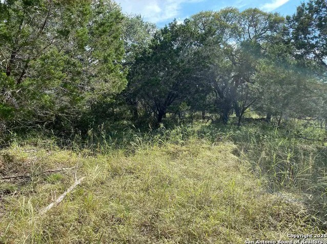 296 Recreation Ln, Spring Branch, TX for sale - Other - Image 2 of 10
