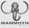 Mammoth Realty