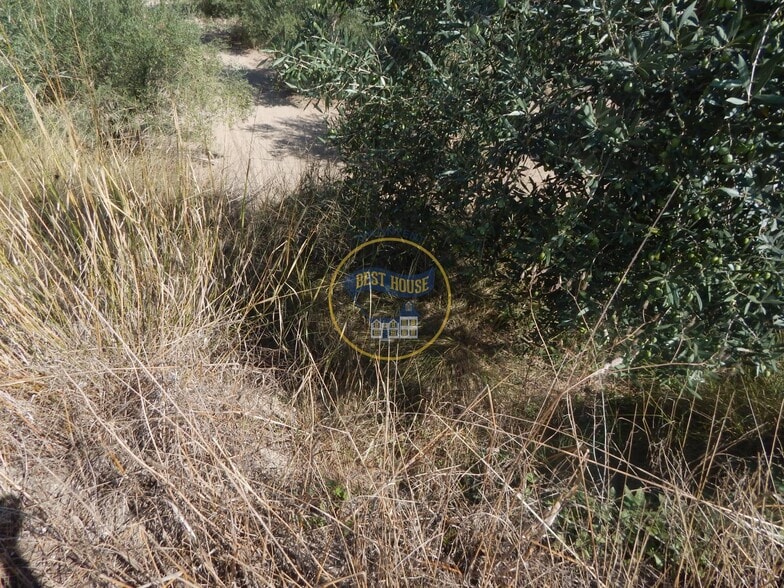 Land in Alquerías del Niño Perdido for sale - Building Photo - Image 2 of 22