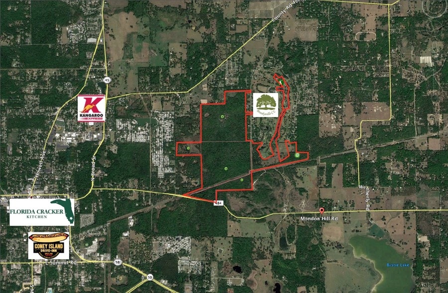 23196 MONDON HILL Rd, Brooksville, FL for sale - Other - Image 2 of 3