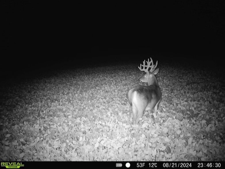 Fisher Road, Iola, WI for sale - Building Photo - Image 3 of 60