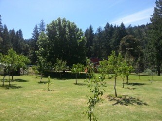 60104 Gordons Ferry Rd, Happy Camp, CA for sale - Building Photo - Image 2 of 9