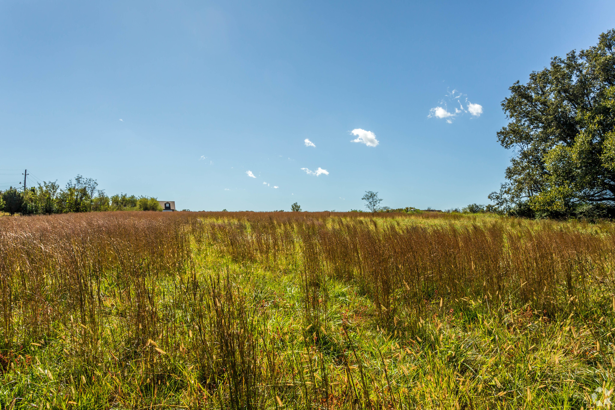 Highway 64, Oakland, TN for sale Primary Photo- Image 1 of 1