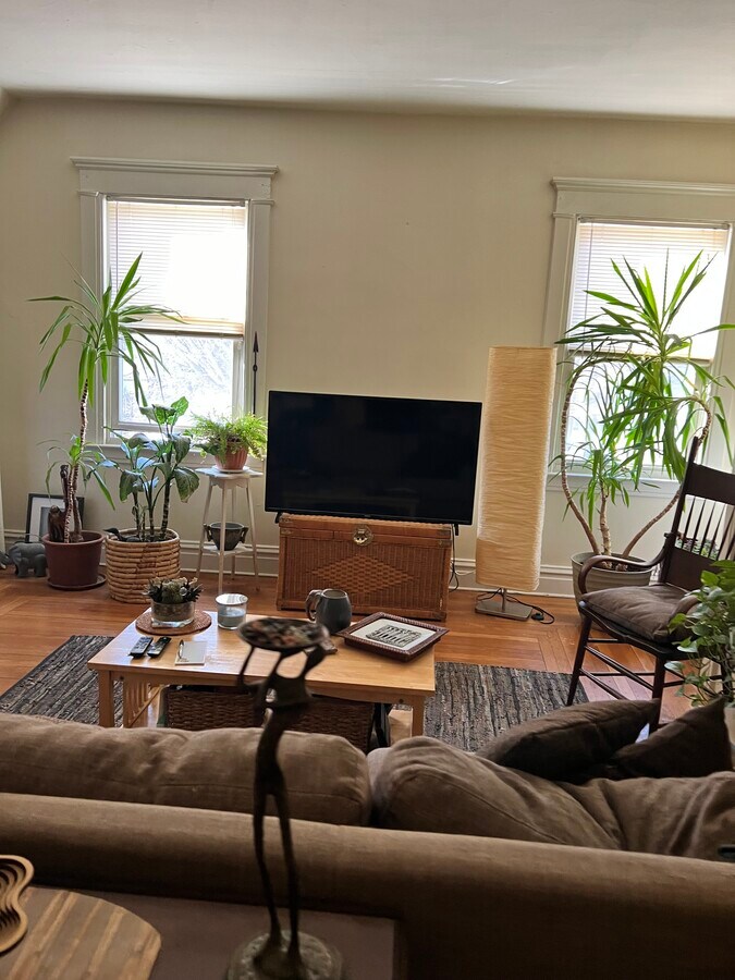 243 Alden Ave, New Haven, CT 06515