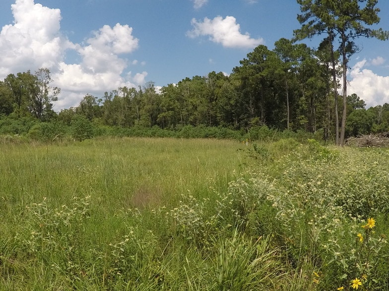 7886 Fm 1960 Rd, Dayton, TX for sale - Other - Image 3 of 9