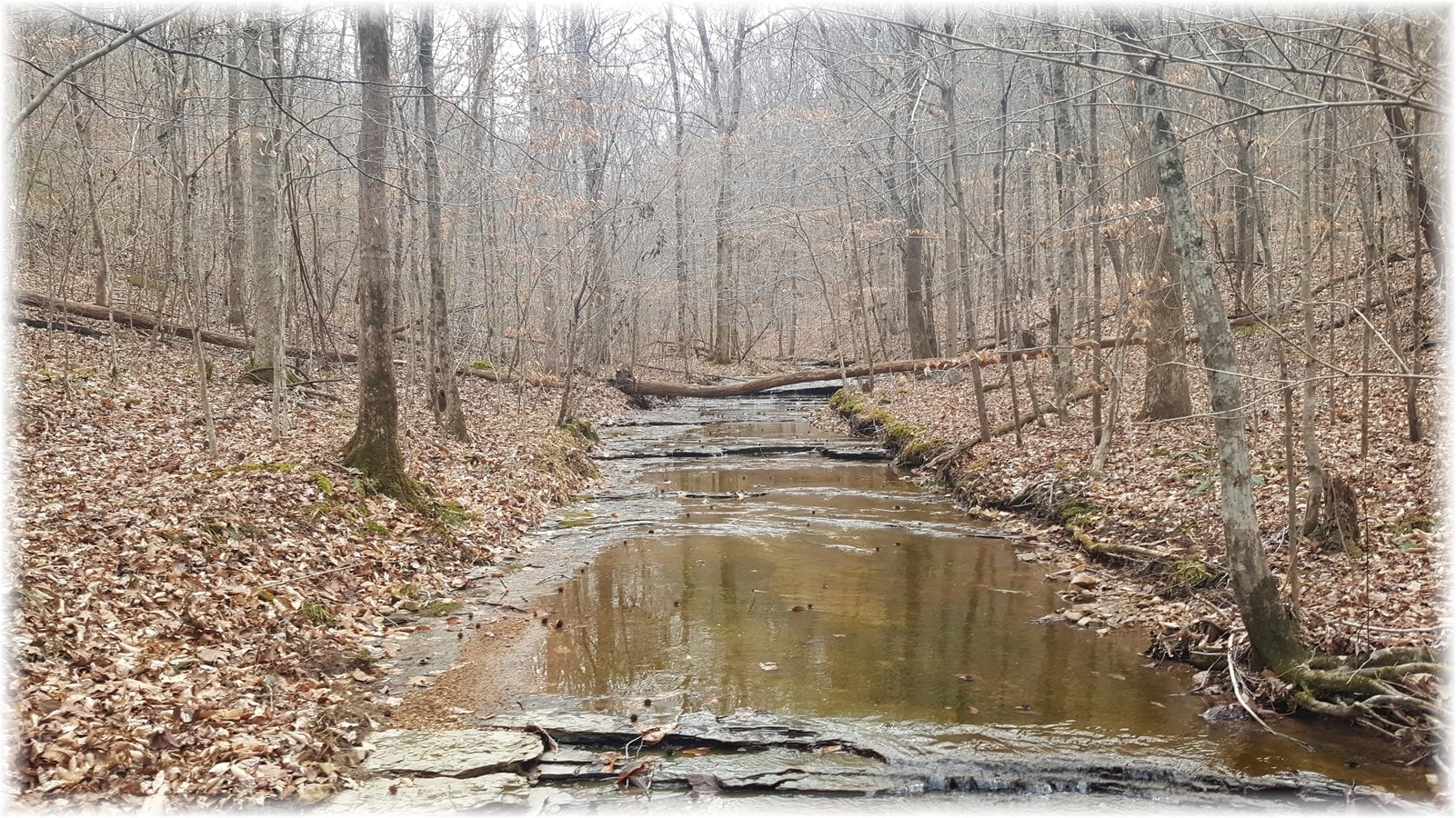 8364 Old Pond Creek Rd, Pegram, TN 37143