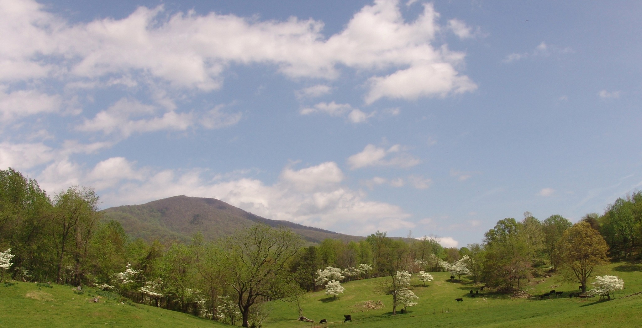 Little Washington Rappahannock County, Washington, VA 22747 - Tranquil ...