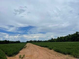 More details for 71 Hwy, Colfax, LA - Land for Sale