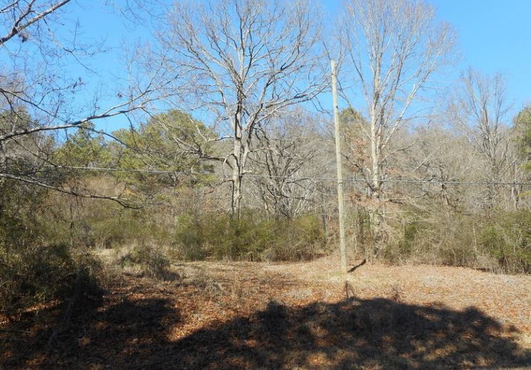 9247 US Hwy 11, Springville, AL 35146