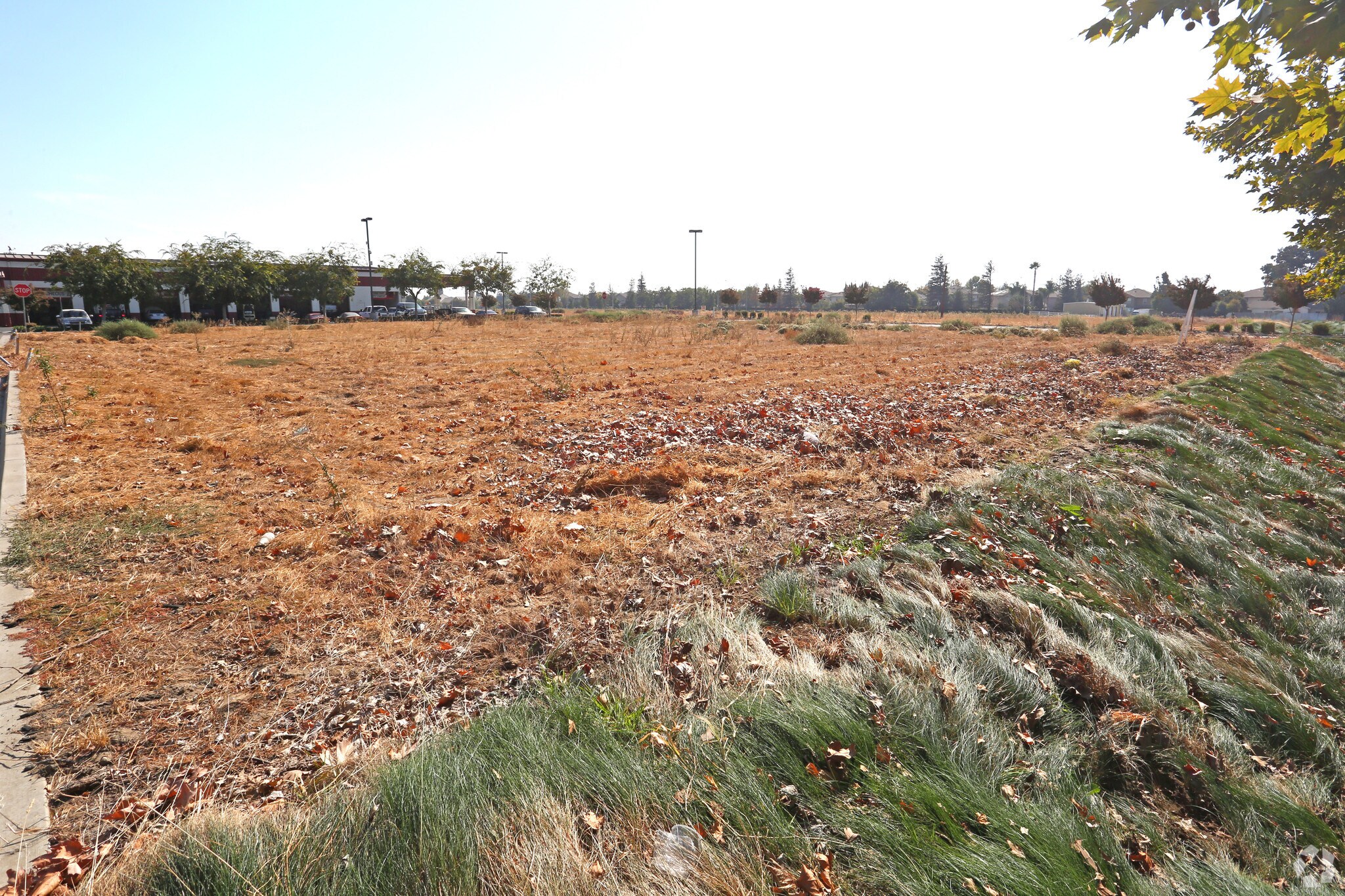 N Jack Tone Rd, Ripon, CA for sale Primary Photo- Image 1 of 1