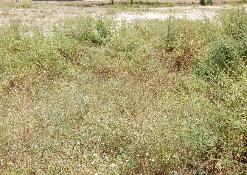 Land in València for sale - Building Photo - Image 3 of 3