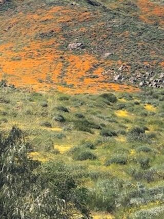 21141 Sharp Rd, Perris, CA for sale Site Plan- Image 1 of 1