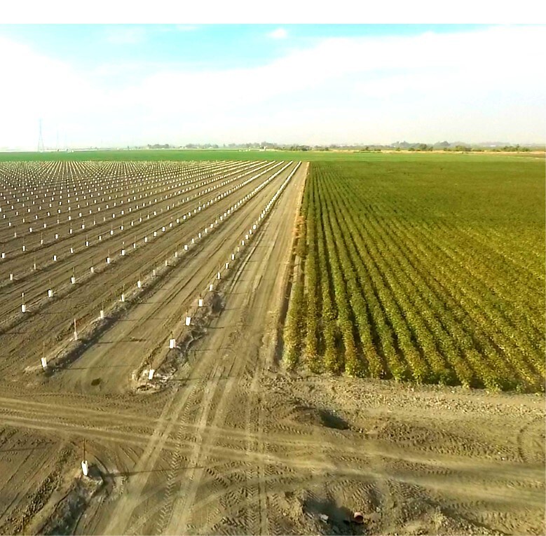 Avenal Cutoff Rd, Lemoore, CA 93245