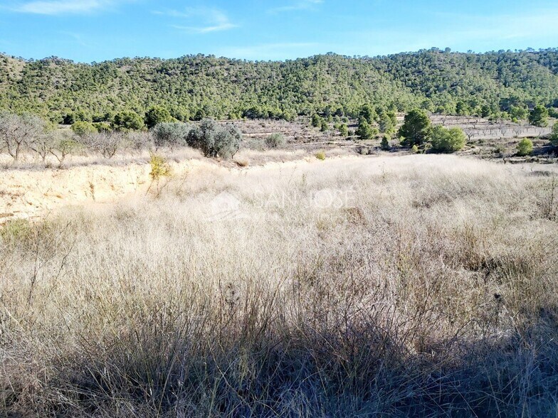 Land in MONÒVER for sale - Building Photo - Image 3 of 3