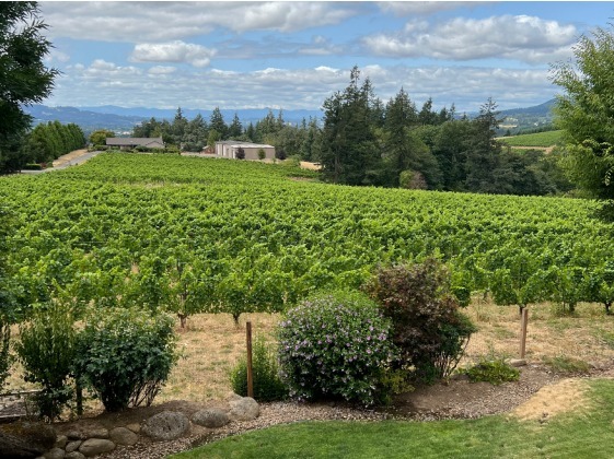 32232 Old Parrett Mountain rd, Newberg, OR for sale - Building Photo - Image 1 of 1