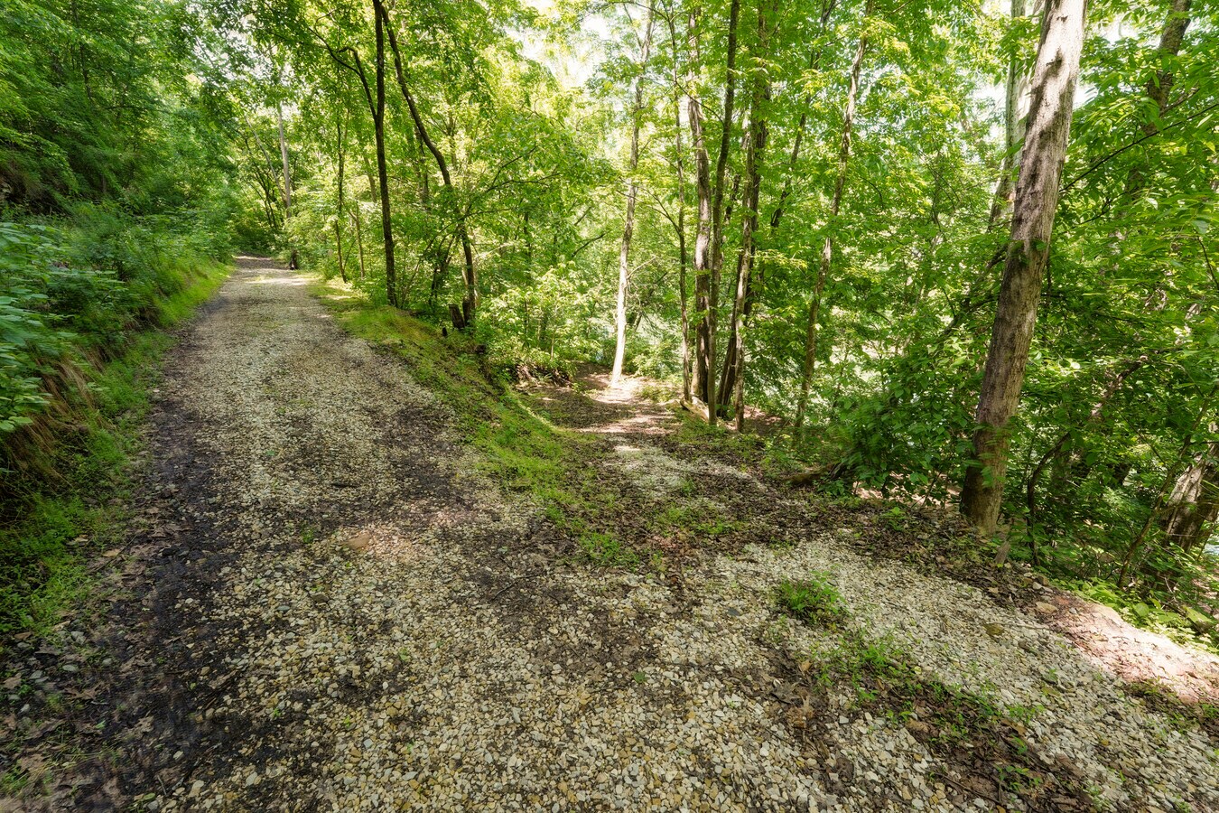 View Photo