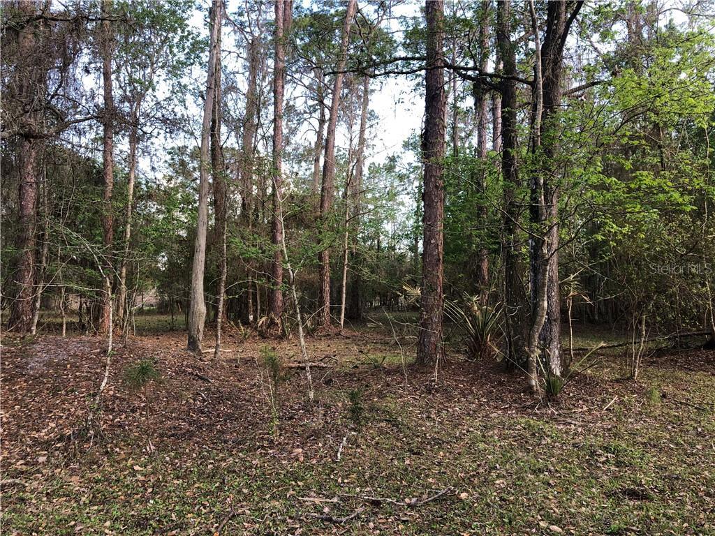 View Photo
