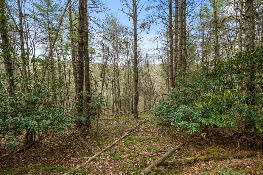 TBD Cole Mountain Road, Hiwassee, VA for sale - Other - Image 3 of 4