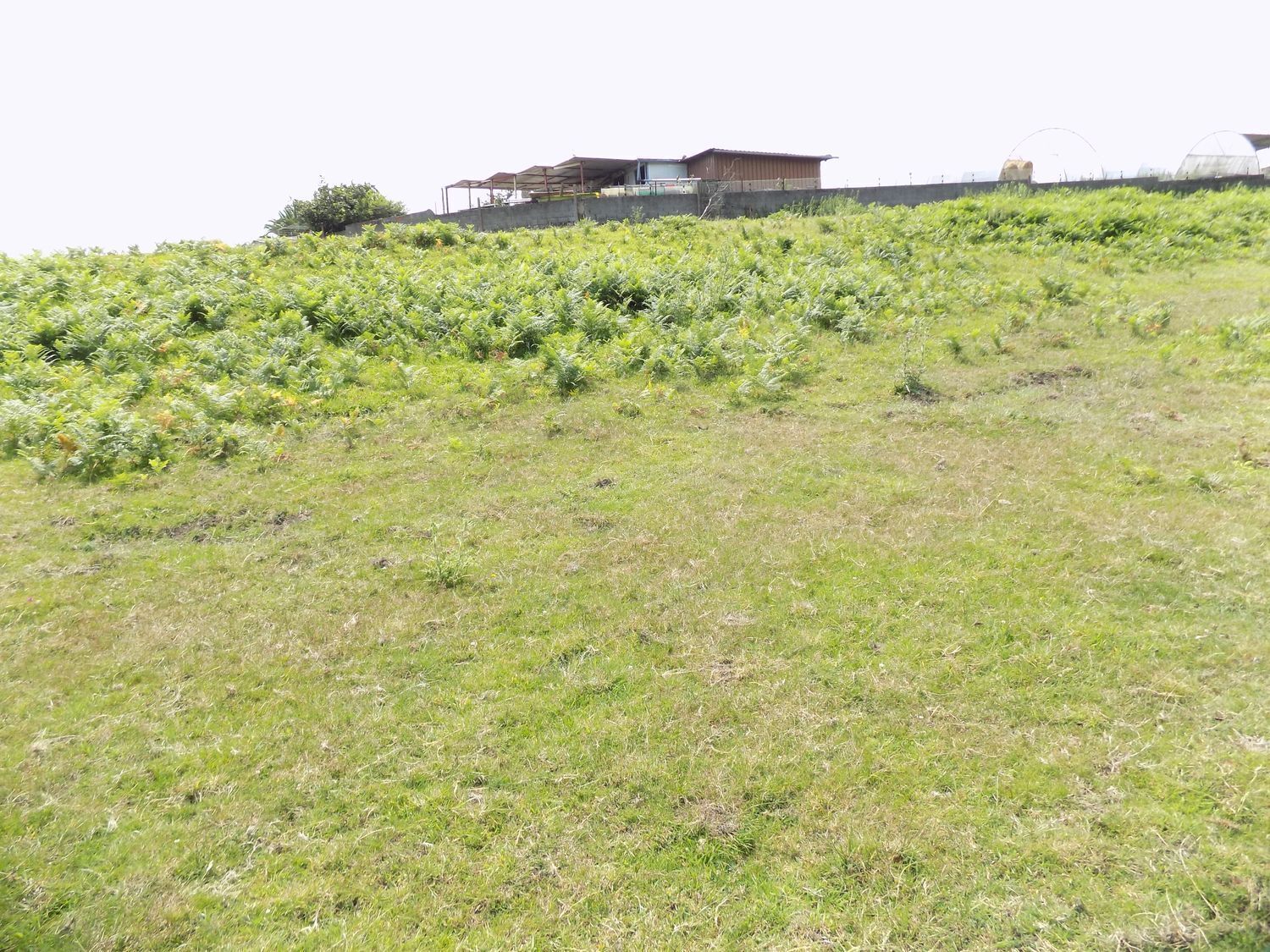 Land in Gijón, Asturias for sale Aerial- Image 1 of 30