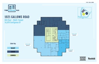 1919-1921 Gallows Rd, Vienna, VA for lease Floor Plan- Image 1 of 1