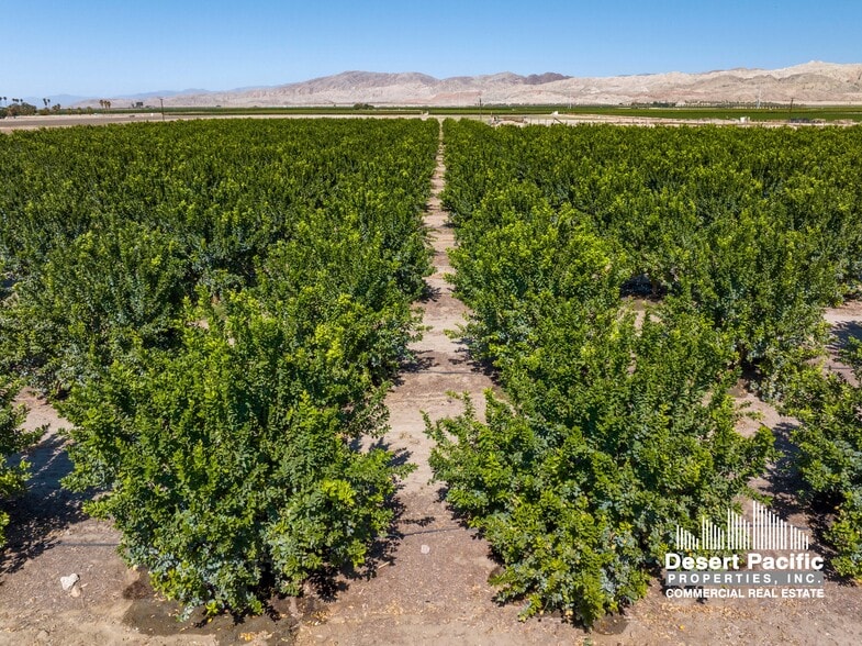 Wheeler St, Mecca, CA for sale - Building Photo - Image 3 of 9