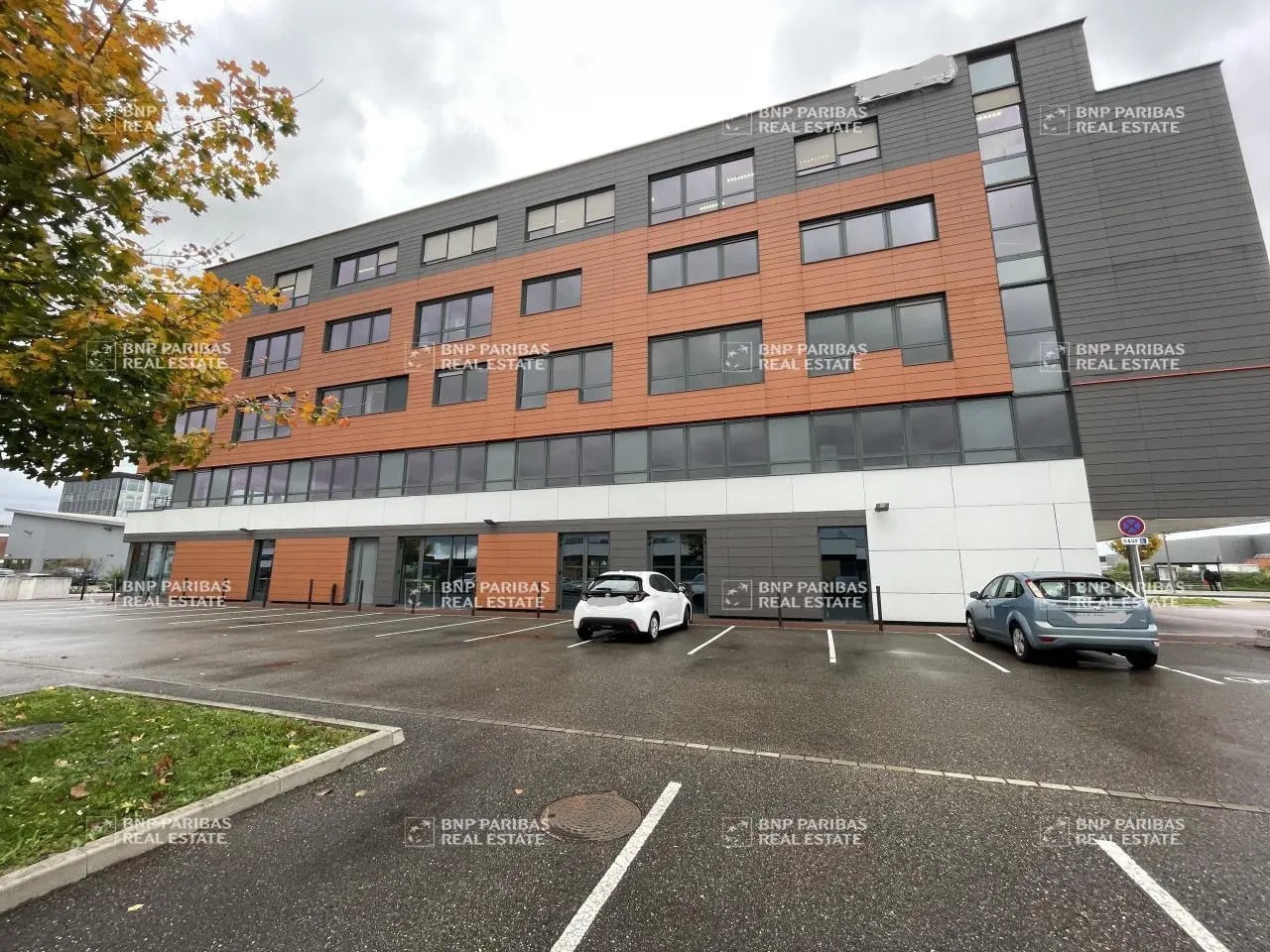 9-11 Rue Madeleine Rebérioux, Strasbourg for lease Building Photo- Image 1 of 30