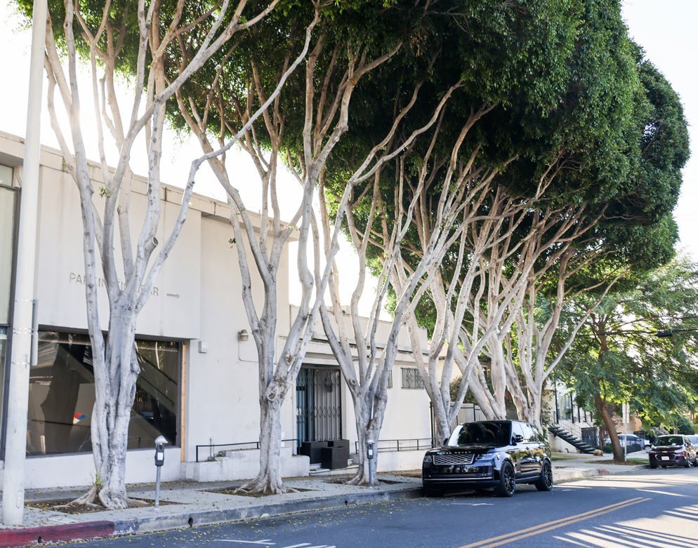 7998 Santa Monica Blvd, West Hollywood, CA for lease Building Photo- Image 1 of 5