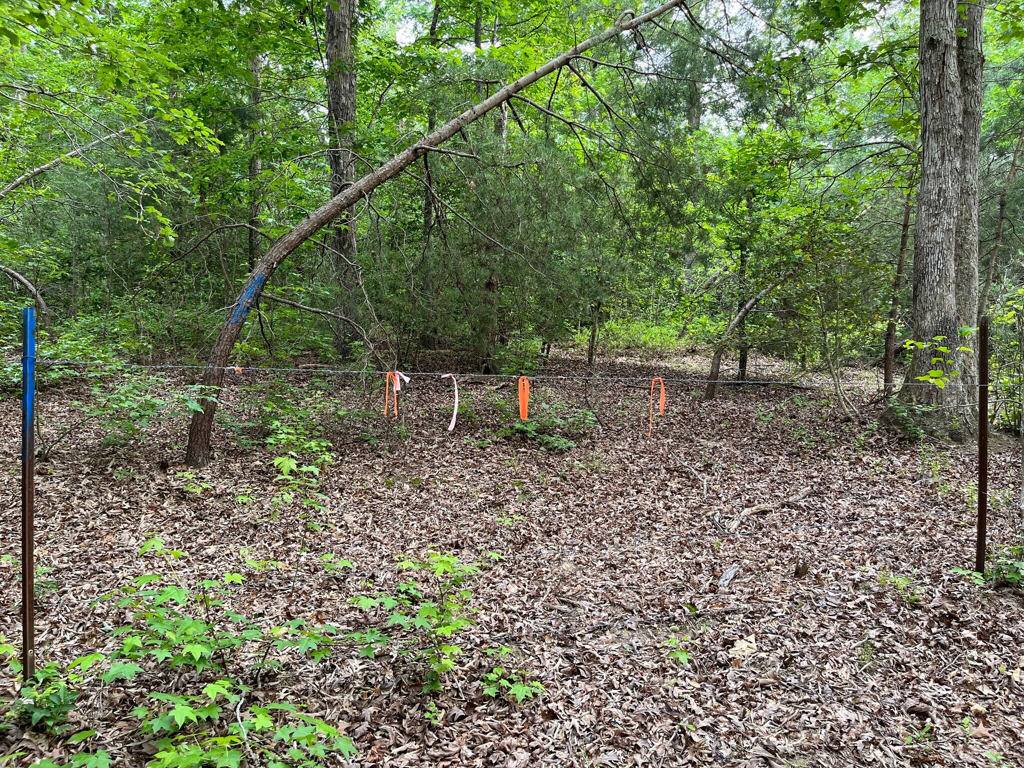 Smith Point, Nanjemoy, MD 20662 Smith Point Rd