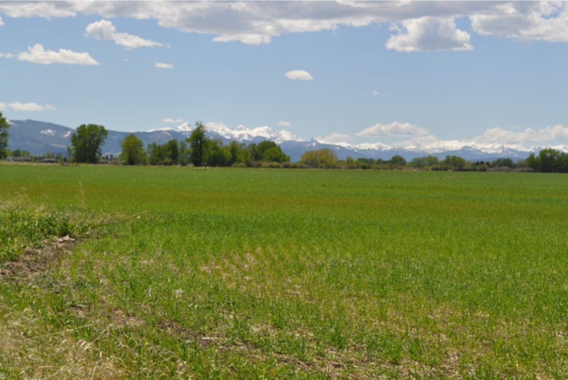 4999 S 19th Ave, Bozeman, MT for sale Building Photo- Image 1 of 8