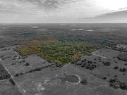 599.78 Acres Falls/Limestone County TX Land - Campground