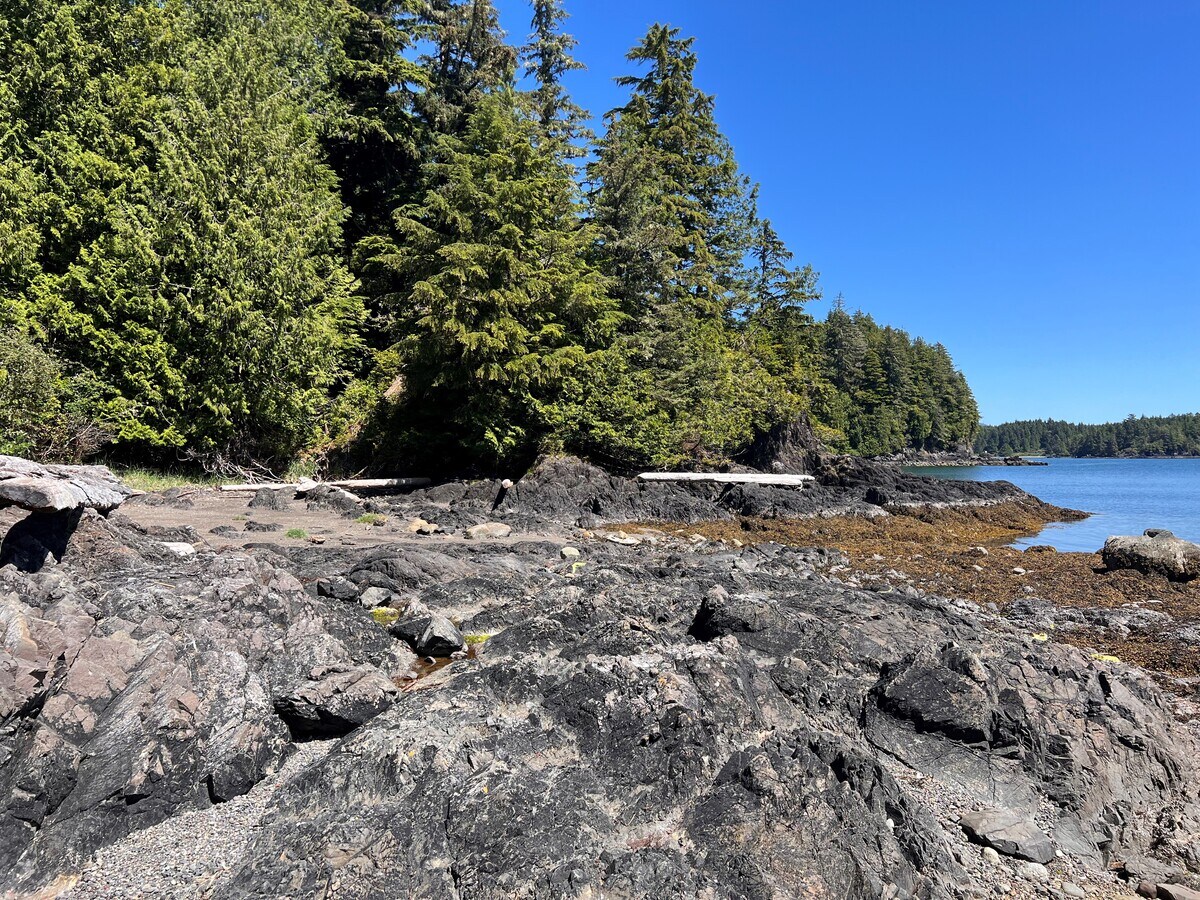 View Photo