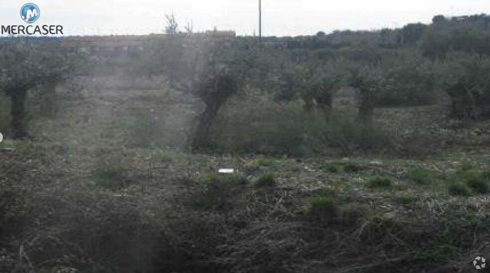 Senda Zalagarda, Cabanillas del Campo, Guadalajara for sale - Building Photo - Image 2 of 3