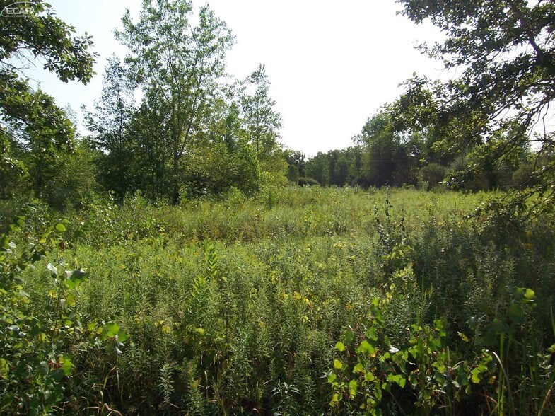 12386 N Elms Rd, Clio, MI for sale - Primary Photo - Image 1 of 1